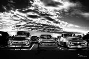 Ford Trucks in a row 1-0370.jpg